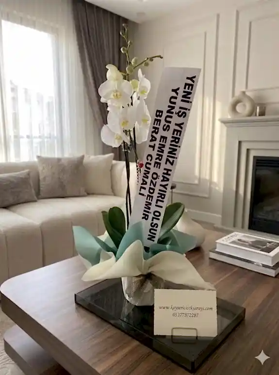 Çift Dal Beyaz Orkide
